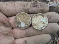 two silvers.webp