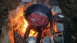 ImageUploadedByTreasureNet.com1493683445.600286.webp ImageUploadedByTreasureNet.com1493683445.600286.webp