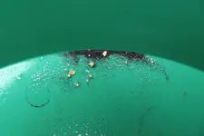 DSCF1371.webp