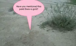 429911987_234955.webp