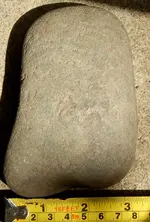 DSCN6020.webp