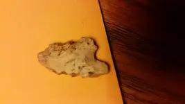 20170330_070205.webp 20170330_070205.webp