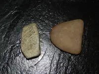 DSCN5838.webp