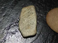 DSCN5839.webp