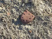 walk 032917 D6.webp