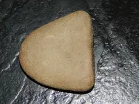 DSCN5845.webp