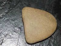 DSCN5847.webp