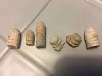 bullets.webp