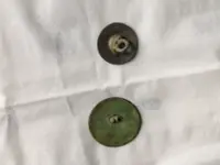 buttonbacks.webp buttonbacks.webp