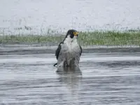K1600_DSCN1670.webp