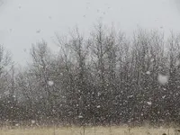 2017.04.22 - snow storm in April.webp