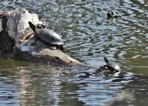 K1600_DSCN1771.webp