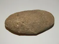 DSCN5851.webp