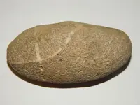 DSCN5852.webp