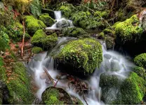 003_def8sec.webp