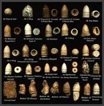 Civil War Bullets 3.webp