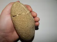 DSCN5857.webp