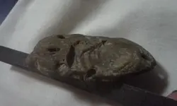 20150430_220746.webp