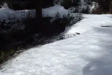 DSCF1352.webp