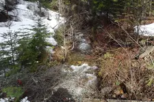 DSCF1355.webp