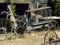 trip 031417 guffy 5.webp