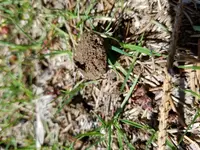 20170423_133727.webp