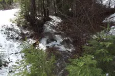 DSCF1356.webp