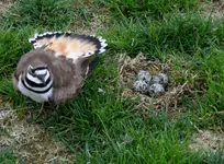 K1600_DSCN2003.webp
