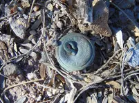 Great Seal Button (WW1-WW2) Esmonds Station Arizona 2017.webp