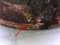 PENNY123456.webp