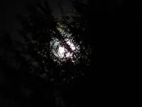 5-9 moon 004.webp