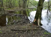 K1600_DSCN2079.webp