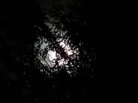 5-9 moon 005.webp