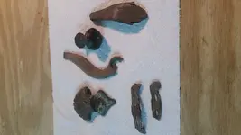 Metal detecting relics 2.webp