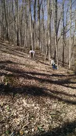 IMG_20160415_150134075.webp