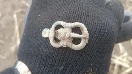 Freshly Dug Buckle.webp