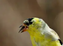 DSCN1533.webp