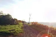 Untitled.webp