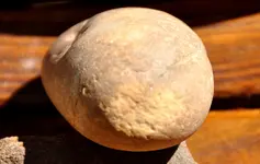 hammerstone 4.webp
