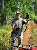 Black Snake.webp