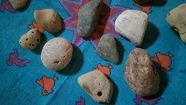 IMAG2574.webp
