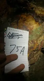 75.webp