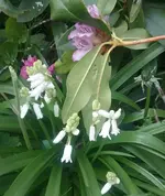 IMG_20170423_175618_009.webp