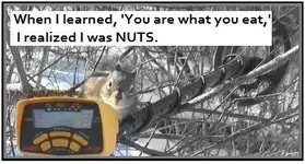 a squirrel smaller (2).webp
