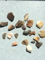 ImageUploadedByTreasureNet.com1492350986.079881.webp