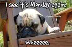 FB_IMG_1492474331440.webp