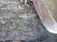 IMG_1350_zpsnwo6wwye.webp