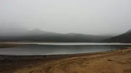 1491767179679.webp