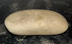 DSCN6025.webp