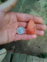 1489666564566.webp